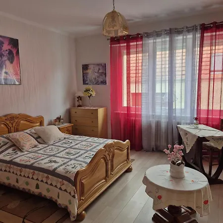 Magnifique Maison Entre Strasbourg Et Obernai Duttlenheim